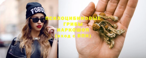стафф Киренск